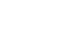 Reuzen in Vlaanderen vzw